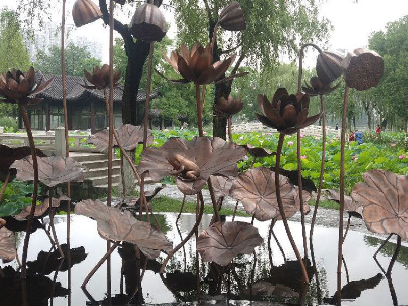 水池中銅荷花 水池中銅荷花